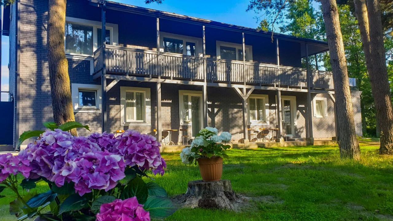 Nīca Guest House Saulgriezes מראה חיצוני תמונה