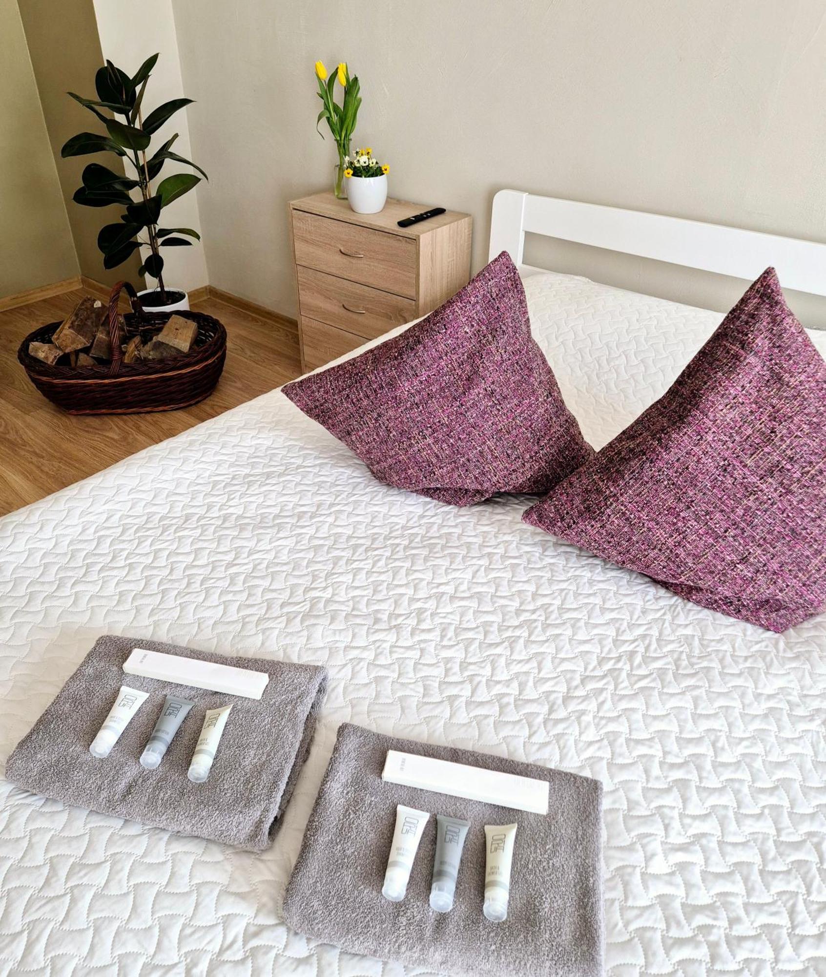 Nīca Guest House Saulgriezes חדר תמונה