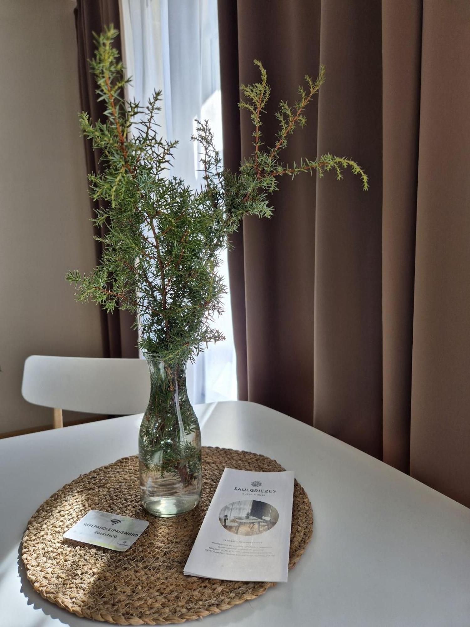 Nīca Guest House Saulgriezes מראה חיצוני תמונה
